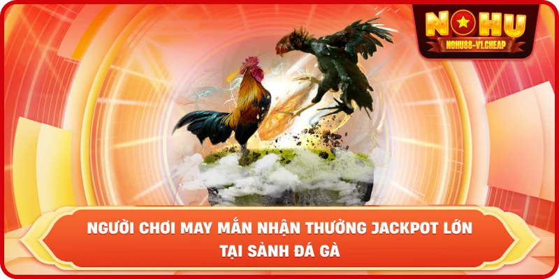 người chơi may mắn nhận thưởng Jackpot lớn tại sảnh đá gà